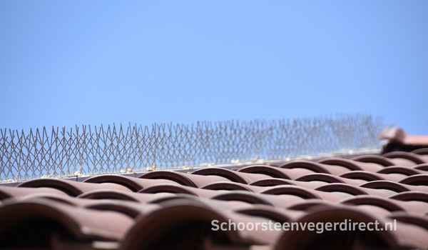 Duivenpinnen goed laten plaatsen
