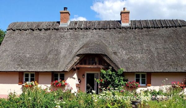Rieten dak en schoorsteenvegen