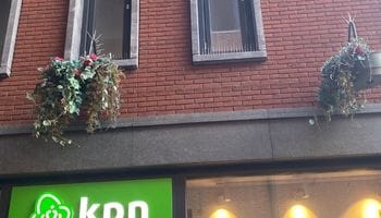 Duivenpinnen in een winkelstraat