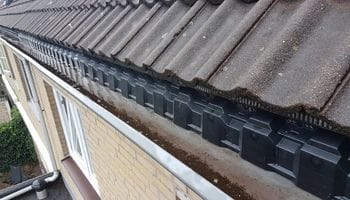 Vogelschroot onder dakpannen